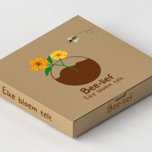Pakket van 5 bloembommen