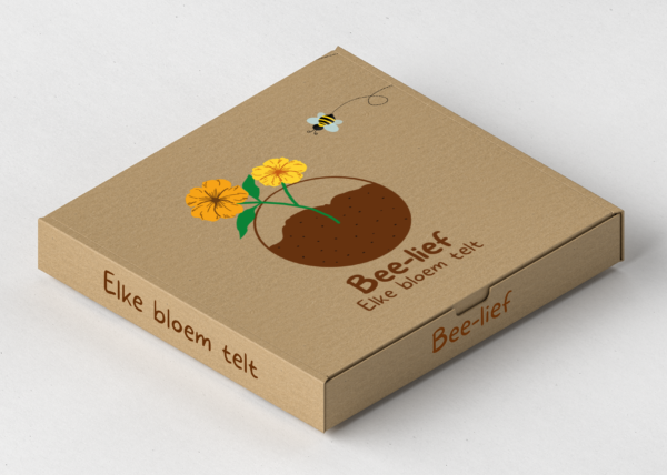 Pakket van 5 bloembommen